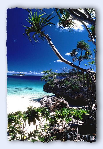 The beach at Tapana Island in the Vava'u Island Group of the Kingdom of Tonga. © https://www.thread-of-awareness-in-chaos.com/order.html